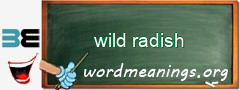 WordMeaning blackboard for wild radish